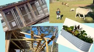 dog rescue updates | vego garden bed review | growing cut flowers