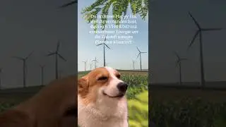 Wer eine nachhaltige Energieversorgung hat, befindet sich immer in seiner happy era. 😁