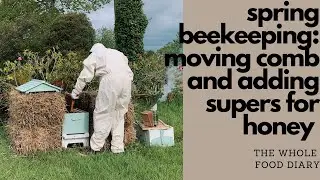 Spring Bee Keeping: Adding Honey Supers and Moving Comb