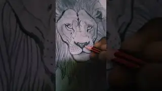 LION KING OF JUNGLE RATE 1 TO 10  🦁 #shorts
