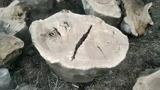 Бенза пила дружба творить чудеса!!!