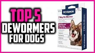 Top 5 Best Dewormers for Dogs in 2024
