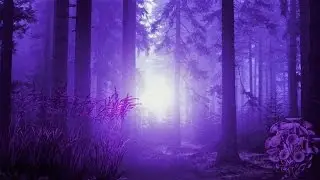 Celtic Elf Music – Moonflower Forest