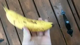 BananAA