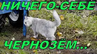 Огород готов!!! Какой чернозём!!!