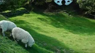 To Hobbiton with ZoomOn!NZ