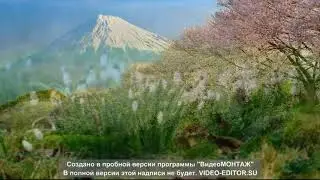 Грация плюс 93 занятие Отработка основных элементов