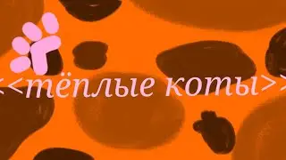 ~Тёплые коты трек если надо то звук в Тгк~