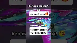 6 августа 2024 г.