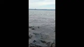 Отпусти и плыви🌊💕 #бурабай #наединессобой