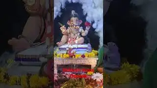 Ganesh shots