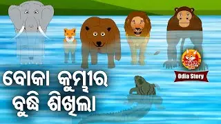 Boka Kumbhira Budhi Sikhila ବୋକା କୁମ୍ଭୀର ବୁଧି ଶିଖିଲା  | Full Odia Cartoon Story | Huke Hu TV