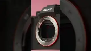 Love & Sony A7IV