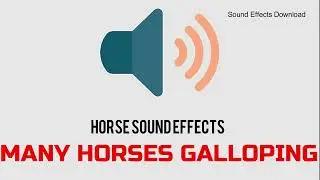 MANY HORSES GALLOPING | SOUND EFFECT | FREE SFX