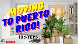 Why I Moved to Puerto Rico (and why you should too)