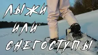 10 000 шагов на снегоступах /  первый выход и первое впечатление / FORESTER  1242