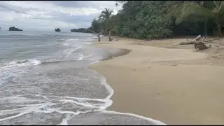 Peaceful Calming Warm Caribbean Waves On My Walk At Beautiful Serene Red Frog Beach Resort