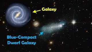 Powerful Star Factories Reside Inside Blue Compact Dwarf Galaxies