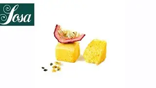 Passion Fruit Sponge · Albumine / Gelcrem Hot · Texturizers