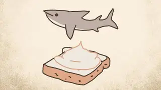 Le top 25 des meilleurs requins