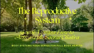 #2 REPRODUCTIVE SYSTEM: Gentle Vinyasa Yoga Flow to Activate the Sacral Chakra