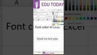 Excel Basic - Font Color in Excel