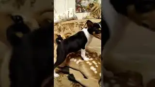 Лорд