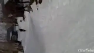 Велики матори