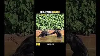 Lo smartphone sommerso