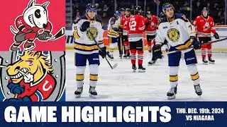 Dec. 19/24 - Barrie Colts vs Niagara IceDogs