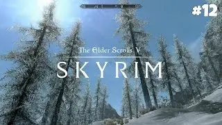 The Elder Scrolls V: Skyrim Special Edition - Прохождение #12: Черная Кровь
