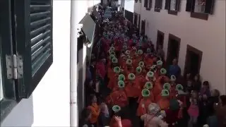 Desfile de Carnaval Escolar - Ribeira Brava -  Madeira - 5-2-2016