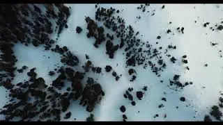 Snowy Mountain Trees Overhead Trucking Forward - Drone Aerial 4K