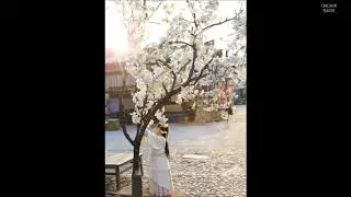หนู มิเตอร์ - ข้างหลังภาพ