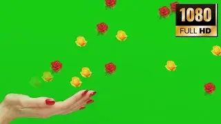 Green Screen Effects  Flowers Chroma Key Effects  Green Screen Effects