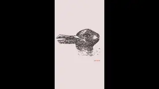 Что первым Вы увидели на картинке? Психологические тесты.