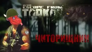 #eft Баги, приколы \ Читорищник \ Cheatedator