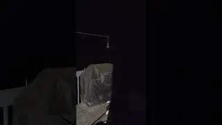 Red Foxes Are Creepy At Night