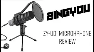 you need this!  Zingyou mic