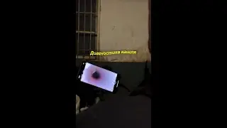 ХОБЛ или АСТМА? Рассказывает @Vetbezgranic