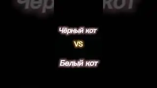Чёрный кот VS белый кот