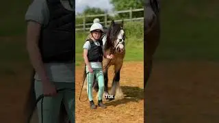 Харти и его дальнейшая судьба