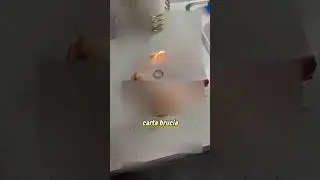 Deciphering the Russian Ring Ritual 😳