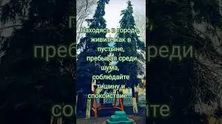 ... слава в том, чтобы в городе жить, как в поле, и среди шума, как в пустыне. прп. Феодор Студит