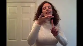 BSL Receptive Practice