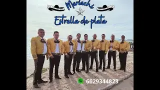 MEP LA VIKINA