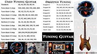 USED TUNING GUITAR - Jan Výborný (2016)