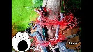 Дилофазавр - Страшилка! Спинозавр - добрый динозавр! Мультик для детей!