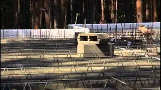 сюжет 