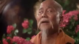 Kung Fu: Master Po on a Person's Roots